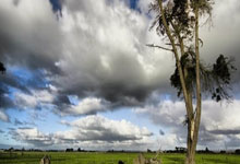 新A神降临？Ary与Shams几乎同时发布杜兰特交易新闻