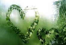 火箭新赛季首发预测，KD+范弗利特+阿门+史密斯+申京