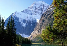 新A神降临？Ary与Shams几乎同时发布杜兰特交易新闻