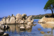 火箭新赛季首发预测，KD+范弗利特+阿门+史密斯+申京