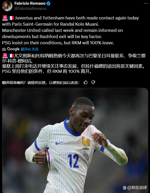 电讯报：曼联目前暂不考虑引进大马丁